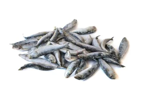 Frozzen fish Stock Photos