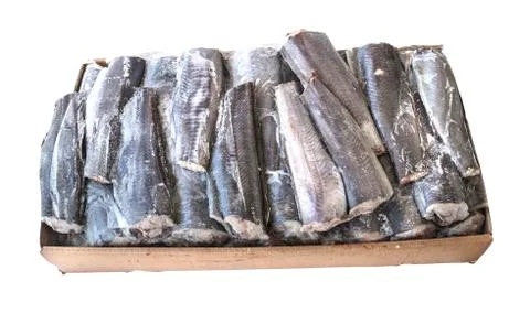 Frozzen fish Stock Photos