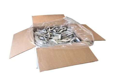 Frozzen fish Stock Photos