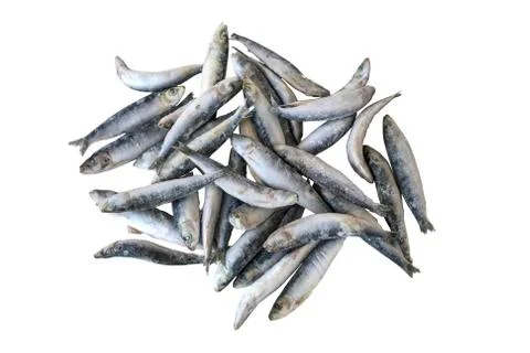 Frozzen fish Stock Photos