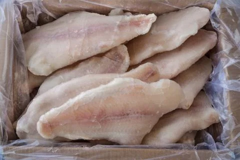 Frozzen fish Stock Photos