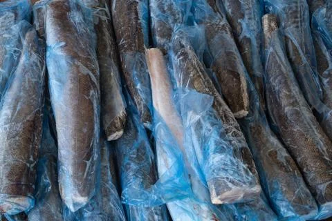Frozzen fish Stock Photos