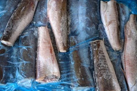 Frozzen fish Stock Photos