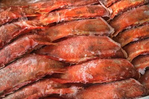 Frozzen fish Stock Photos