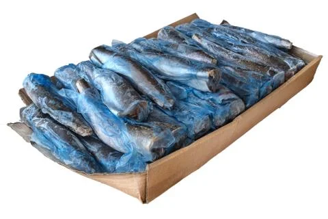 Frozzen fish Stock Photos