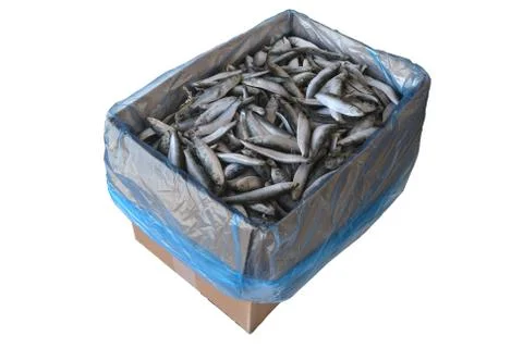 Frozzen fish Foto stock