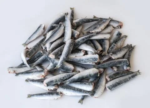 Frozzen fish Stock Photos