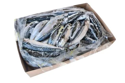 Frozzen fish Stock Photos