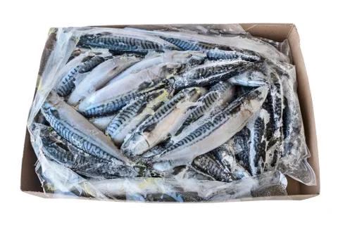 Frozzen fish Stock Photos