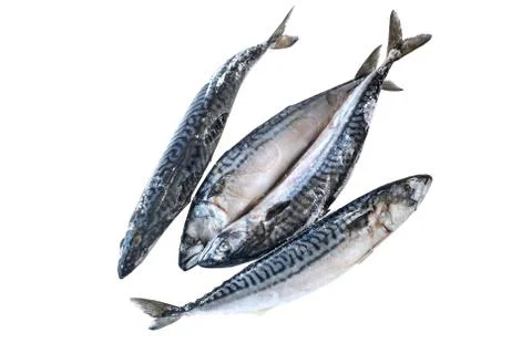 Frozzen fish Stock Photos