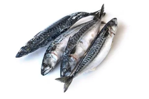 Frozzen fish Stock Photos