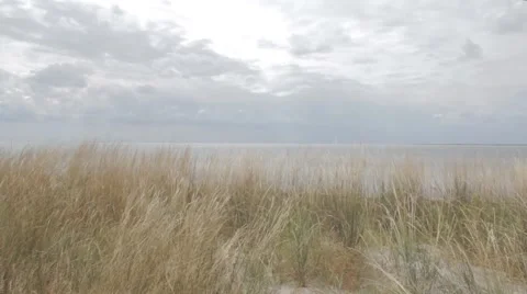 Frth. Grass waving in the wind. Cloudy sky. Stock Footage 67550631