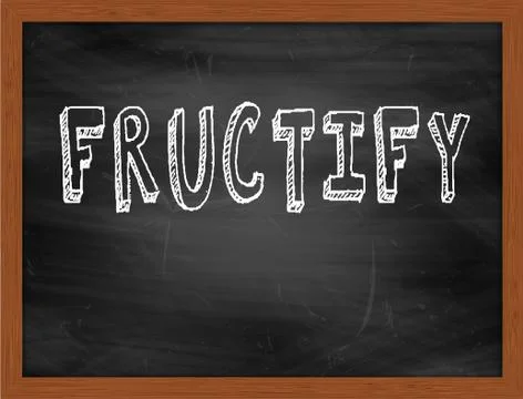FRUCTIFY  hand writing text on black chalkboard Stock Illustration