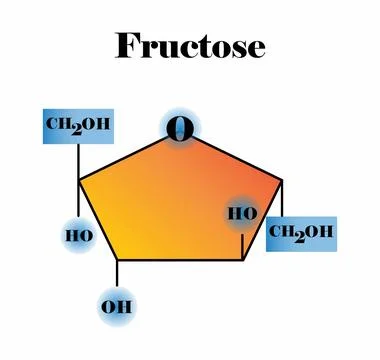 Fructose molecular, Molecular formula and chemical structure of fructose Stock Illustration