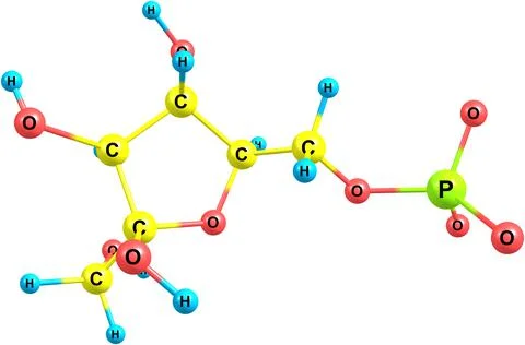 Fructose molecular structure on white background Stock Illustration