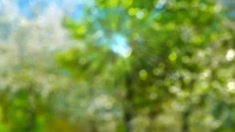 Fruehling ebendorf sonne Stock Footage 273058433