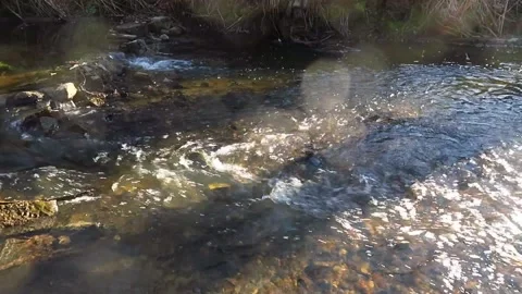 Frühling Stock-Footage 153284338