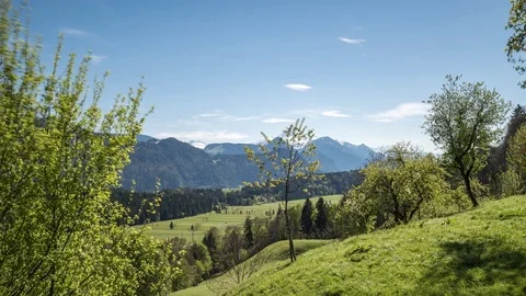 Frühling in Tirol Stock Footage