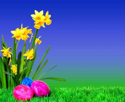 Frühling und Ostern Ostern; Frühling; blume; blumen; ei; freude; froh; frü Stock Photos