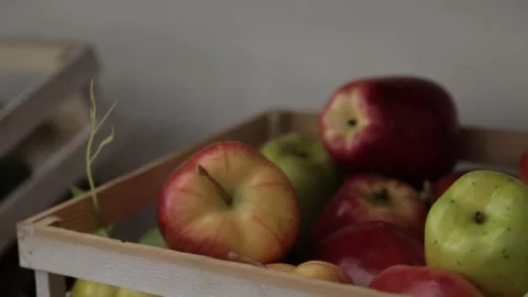 Fruit 2 Stock Footage 308735375