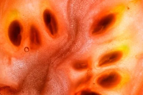 Fruit abstract background. Stock Photos