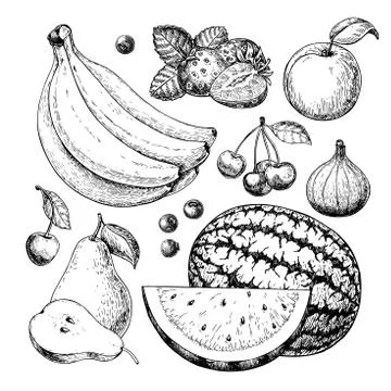Fruit and berry vector drawing set. Hand drawn summer food Stock Illustration