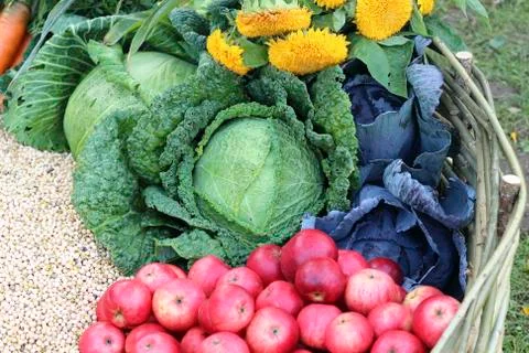 Fruit and vegetable in basket Stock Photos