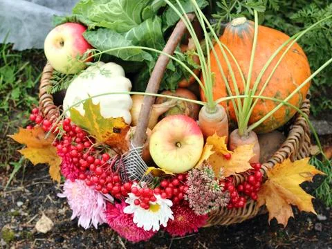 Fruit and vegetable in basket Stock Photos