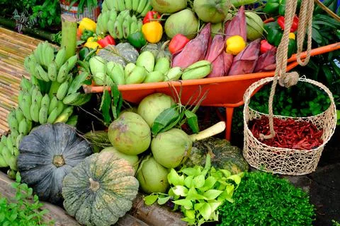 Fruit and vegetable in basket Stock Photos