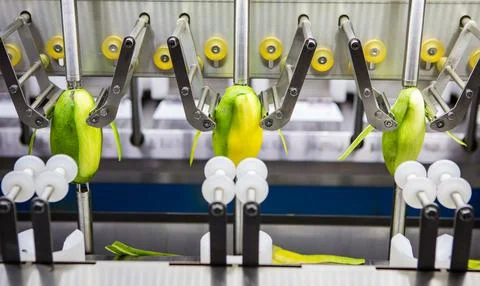 Fruit and vegetable peeling machine Stock Photos