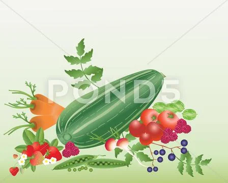 Fruit and vegetables Stock Illustration