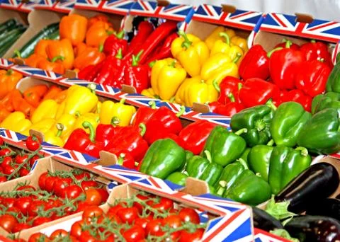 Fruit and Vegetables. Stock Photos