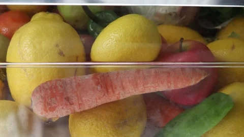 Fruit and vegetables in the refrigerator Stock Footage 172192911