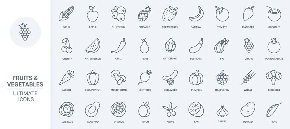 Fruit and vegetables thin line icons set, fresh food outline agriculture Stock Illustration