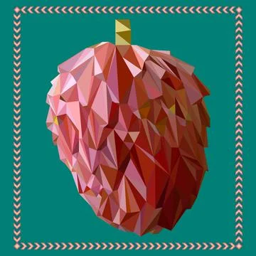 The fruit of Annona. Stock Illustration