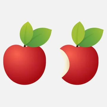 Fruit: Apples Stock Illustration