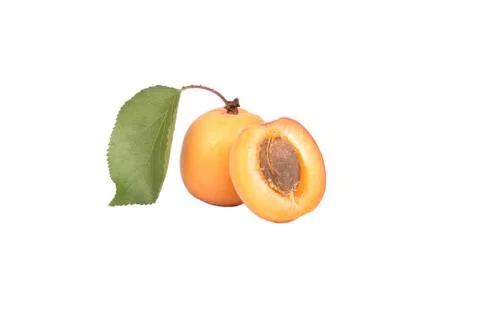 Fruit apricot Stock-Fotos