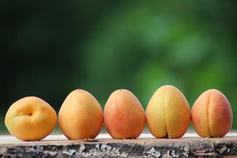 Fruit-apricot Stock Photos
