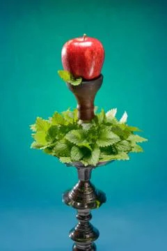 Fruit aroma hookah Stock Photos