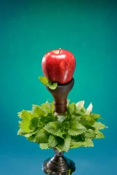 Fruit aroma hookah Stock Photos