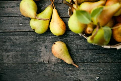Fruit background. Fresh organic pears on old wood. Pear autumn harvest Stock Photos