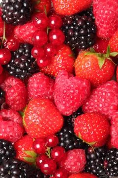 Fruit background Stock Photos