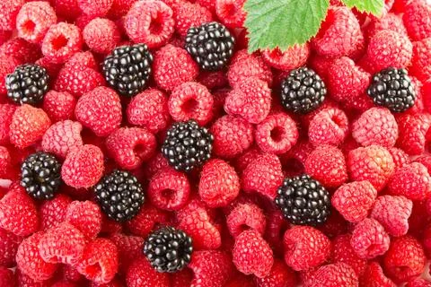 Fruit background Stock Photos