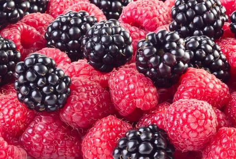 Fruit background Stock Photos