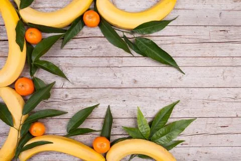 Fruit background Фото