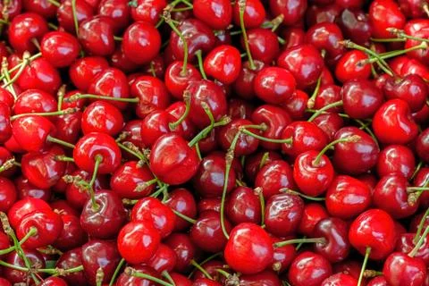 Fruit background. Red cherries collected in a box for processing for juice. Stock Photos