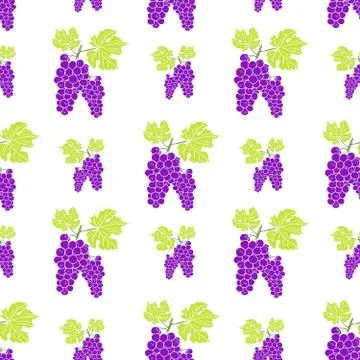 Fruit background Seamless pattern with hand drawn skech grape vector illustra イラスト素材