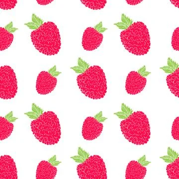 Fruit background Seamless pattern with hand drawn skech raspberry vector illu Stock Illustration