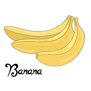 Fruit banana vector illustration Stock Illustration