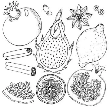 Fruit basic set, black and white. Vector illustration. Pomegranate, lmon, dragon Stock Illustration